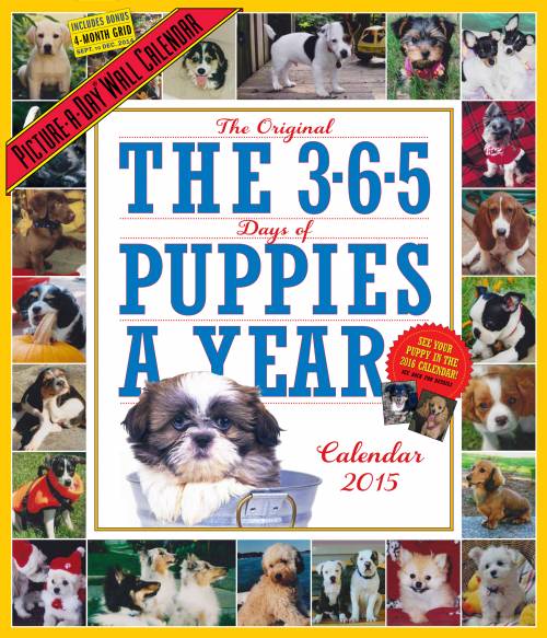 365 Puppies a Year Page-A-Day Calendar