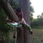 Treehugger