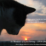 From the Page-A-Day photo files: In Memory