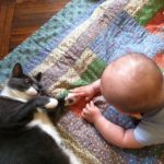 Kitties ‘n’ Babies, Babies ‘n’ Kitties