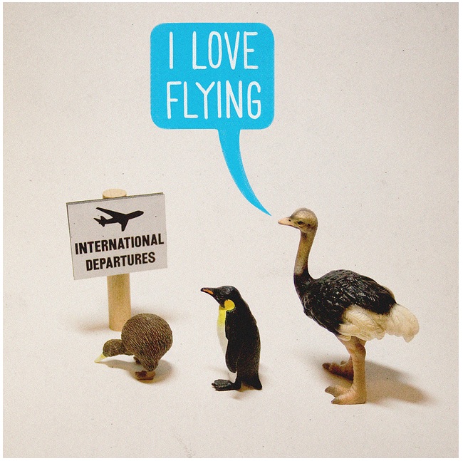 "I love flying" by Aled Lewis