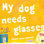 Pinterest Photo Contest: My Dog Needs Glasses!
