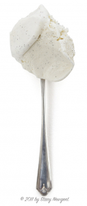 Vanilla Ice Cream Spoon with credit