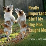 Really Important Stuff Our Dogs Have Taught Us