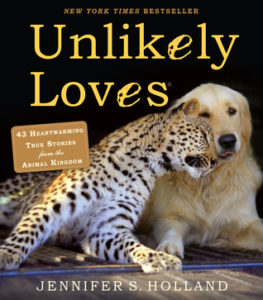 Unlikely Loves Cover