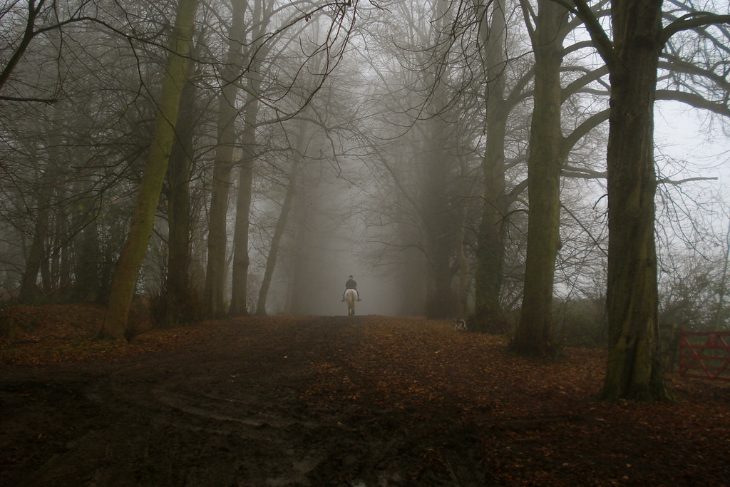 World's Most Haunted Forests - Workman Publishing