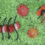 Centipedes and Millipedes from CANDY CONSTRUCTION