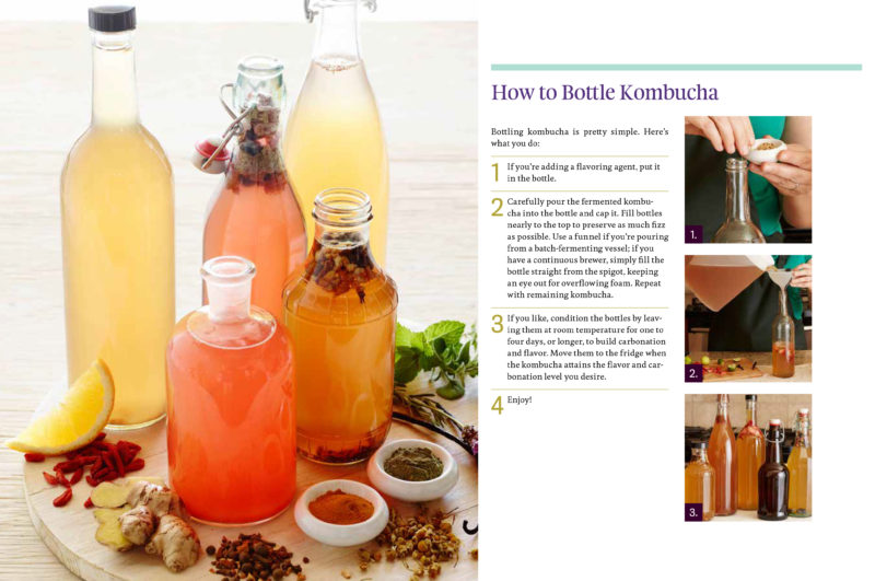 133-134_channahcrum_calexlagory_howtobottle_bigbookofkombucha