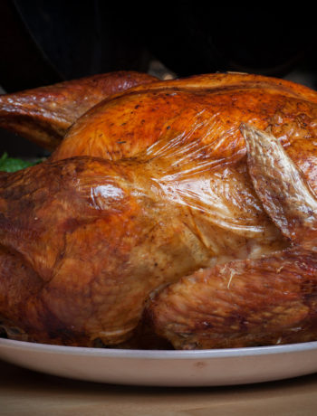 Ultimate Guide to Thanksgiving Turkey