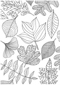 moments-of-mindfulness-sample-coloring-pages-page-001