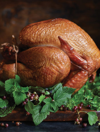 Ultimate Guide to Thanksgiving Turkey