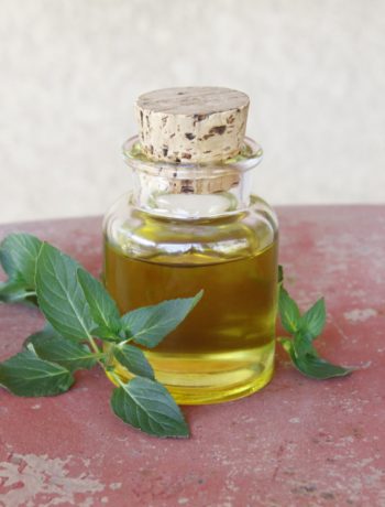 Lavender-Vetiver Massage Oil