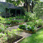 How to Elevate Your Garden