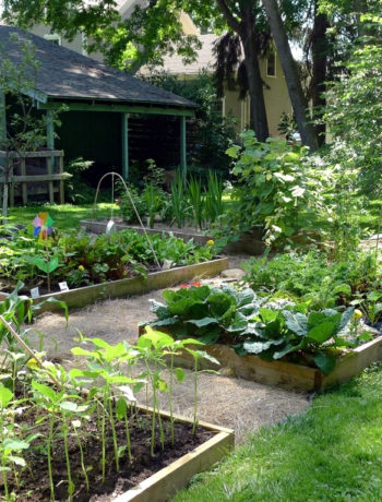 how to elevate your garden