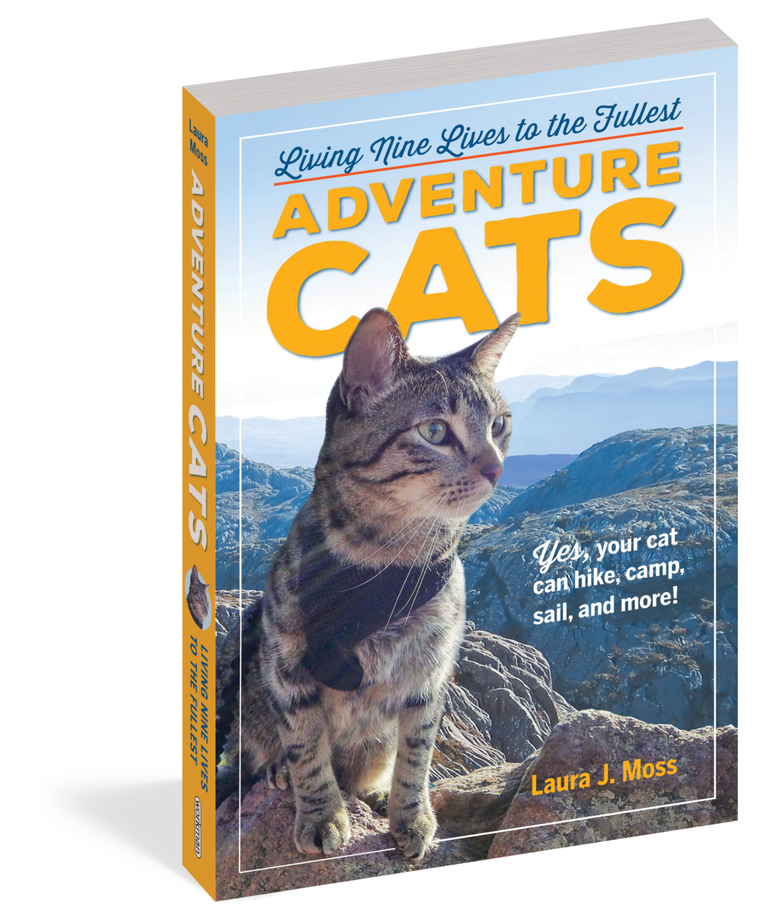 purr-sonality-quiz-is-my-cat-an-adventure-cat-workman-publishing