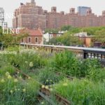 Gardens of the High Line Sweepstakes
