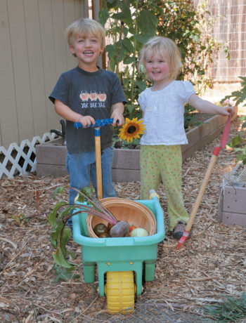 Garden Projects for Kids