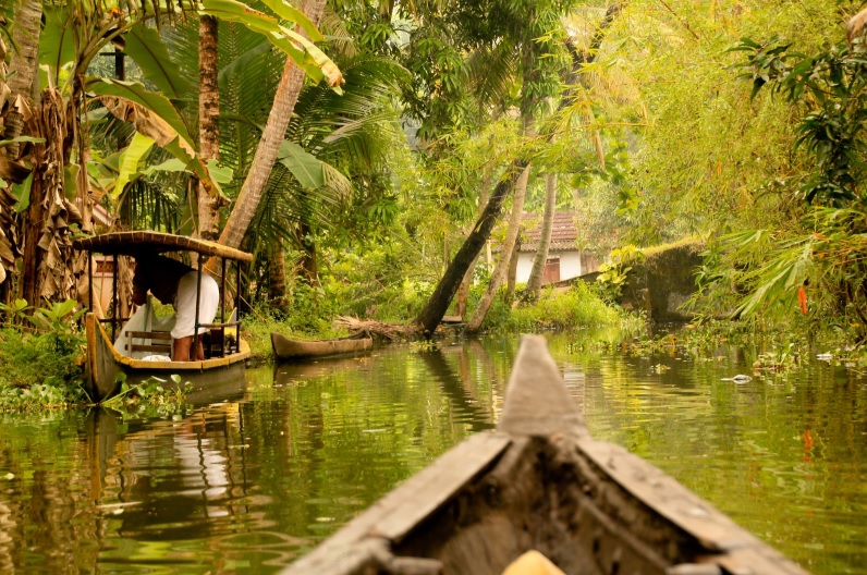 Kerala backwaters from canoe